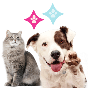 Linha de Produtos Limpatinha